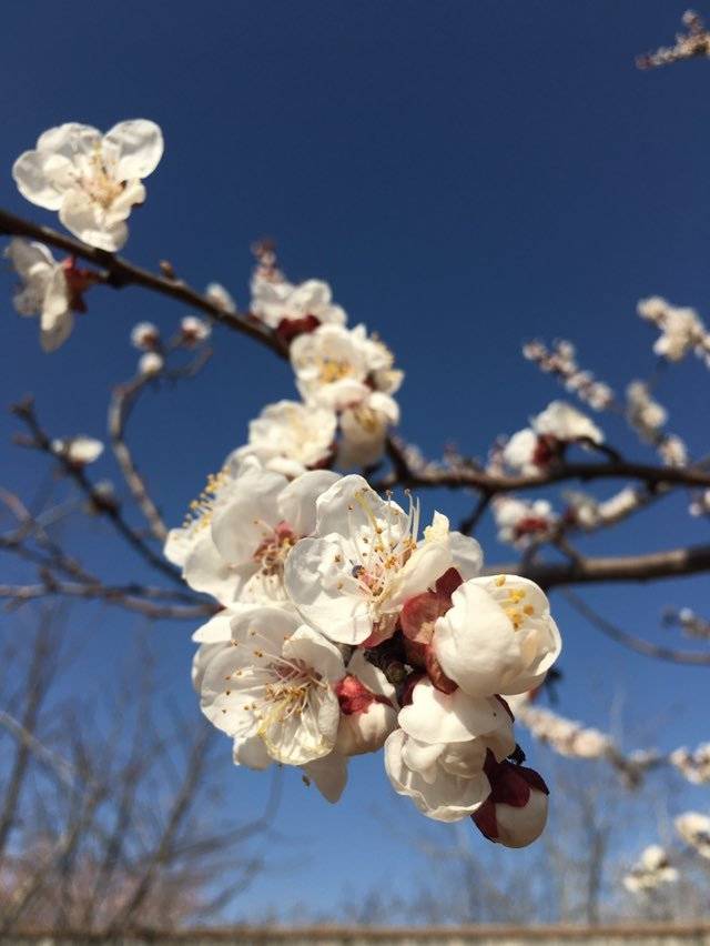腾博会app_手机版下载
网-腾博会app新闻门户 传播品质资讯